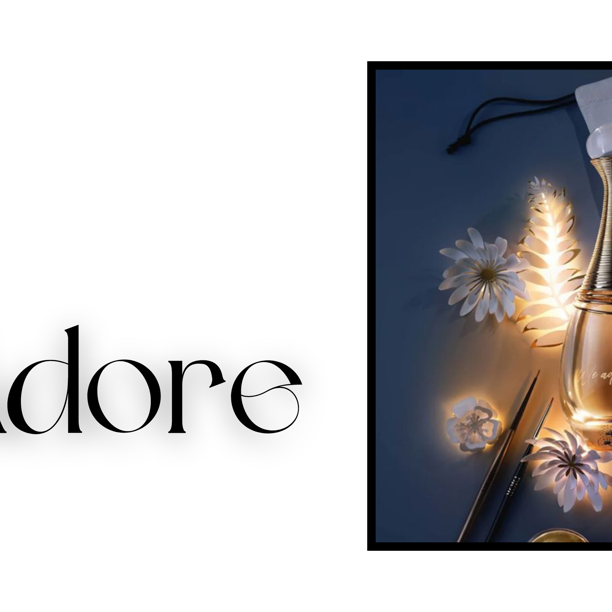Comment choisir son parfum de luxe : le guide ultime par Olfactisis